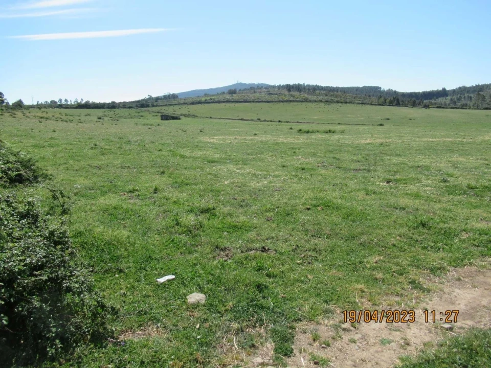 Quinta T4 para Venda em São Salvador da Aramenha Foto 29
