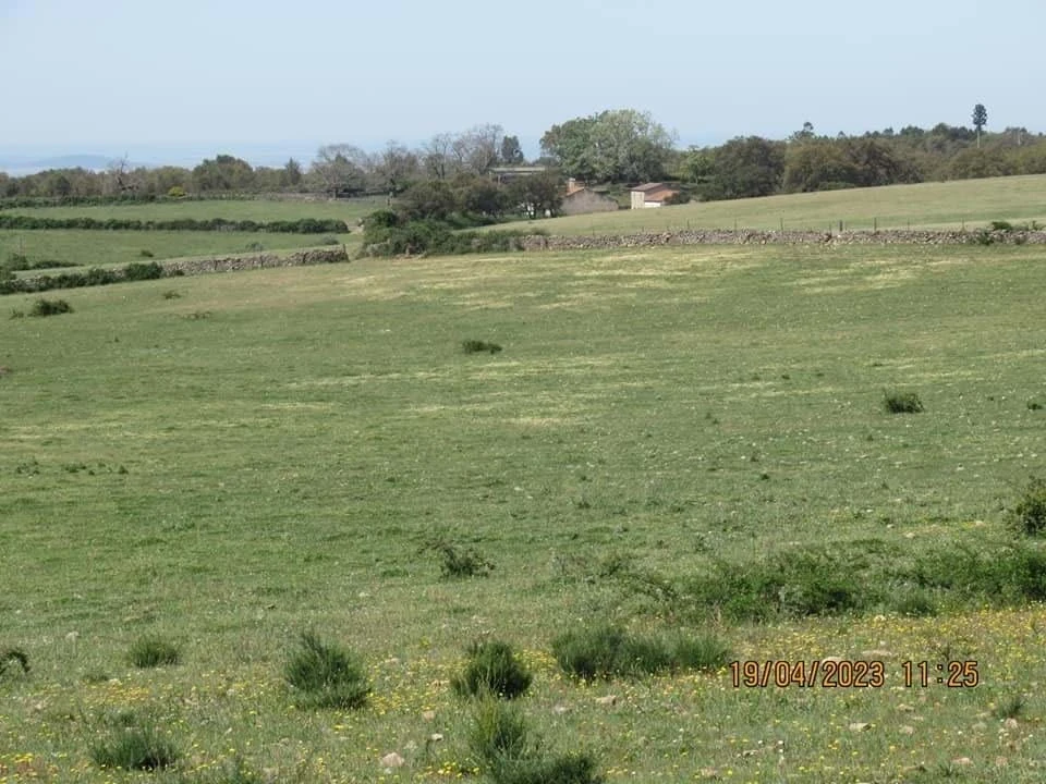 Quinta T4 para Venda em São Salvador da Aramenha Foto 11