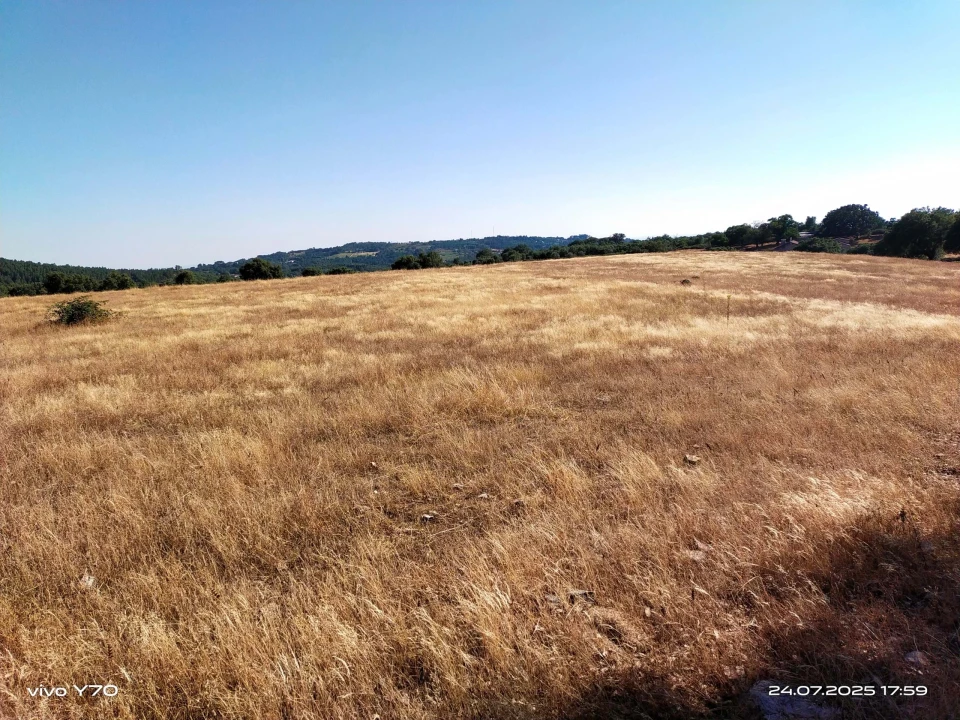 Quinta T4 para Venda em São Salvador da Aramenha Foto 30
