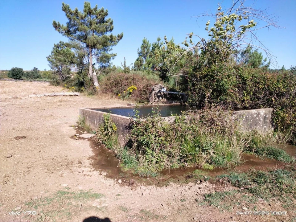 Quinta T4 para Venda em São Salvador da Aramenha Foto 20