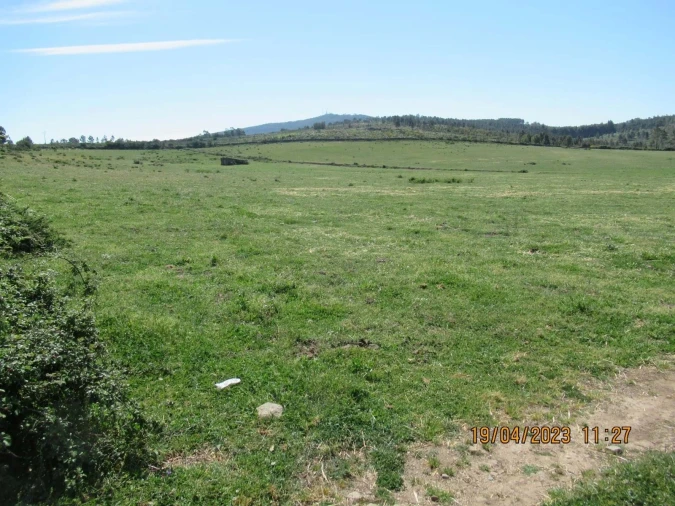 Quinta T4 para Venda em São Salvador da Aramenha Foto 29