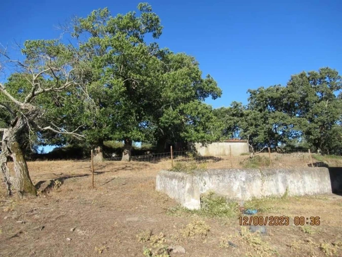 Quinta T4 para Venda em São Salvador da Aramenha Foto 12