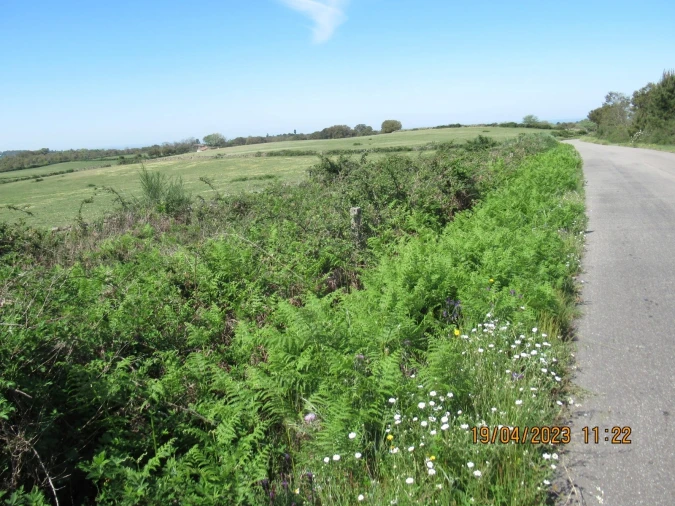 Quinta T4 para Venda em São Salvador da Aramenha Foto 17