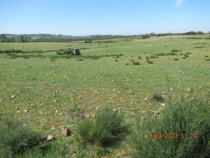 Quinta T4 para Venda em São Salvador da Aramenha Foto 14