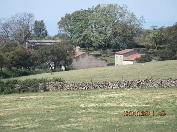 Quinta T4 para Venda em São Salvador da Aramenha Foto 23