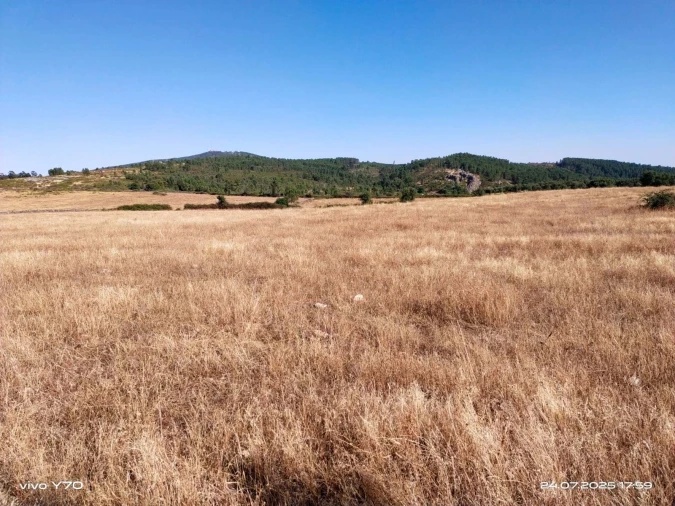 Quinta T4 para Venda em São Salvador da Aramenha Foto 28