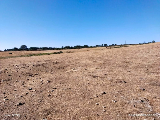 Quinta T4 para Venda em São Salvador da Aramenha Foto 25