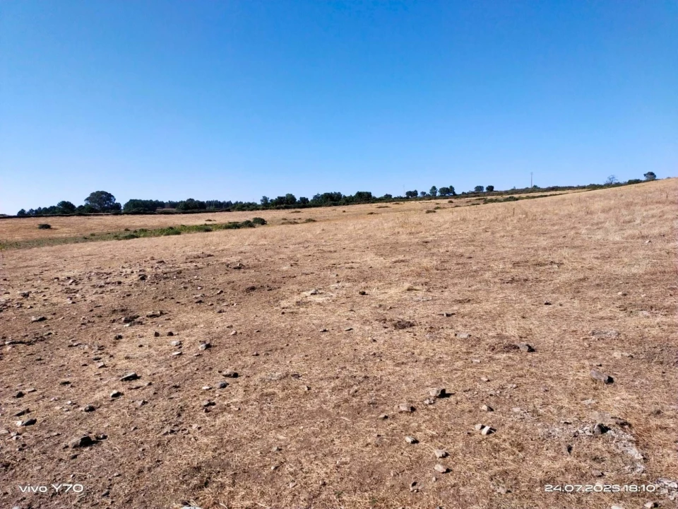 Quinta T4 para Venda em São Salvador da Aramenha Foto 25
