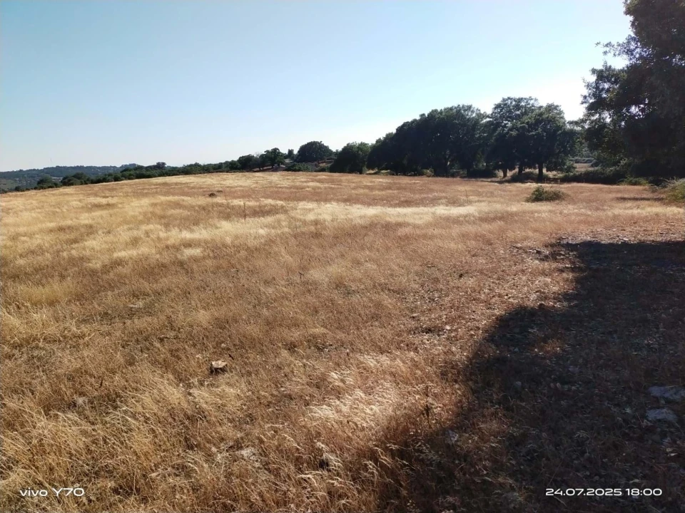 Quinta T4 para Venda em São Salvador da Aramenha Foto 26