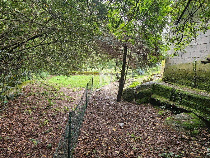Terreno para Venda em Moreira do Rei e Várzea Cova Foto 10