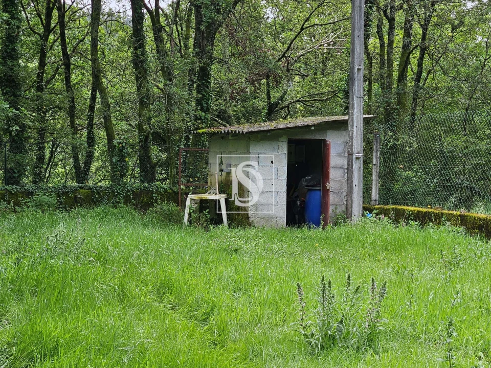 Terreno para Venda em Moreira do Rei e Várzea Cova Foto 3
