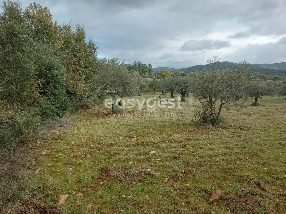 Terreno Agricola ou Rústico para Venda em Vale da Senhora da Povoa Foto 3