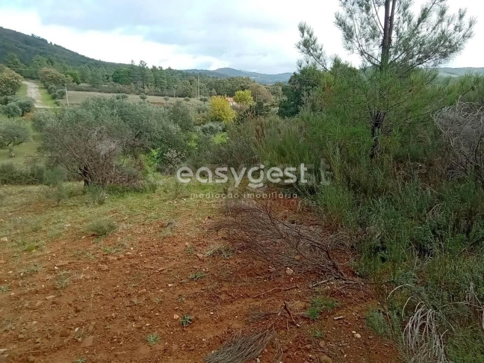 Terreno Agricola ou Rústico para Venda em Vale da Senhora da Povoa Foto 4