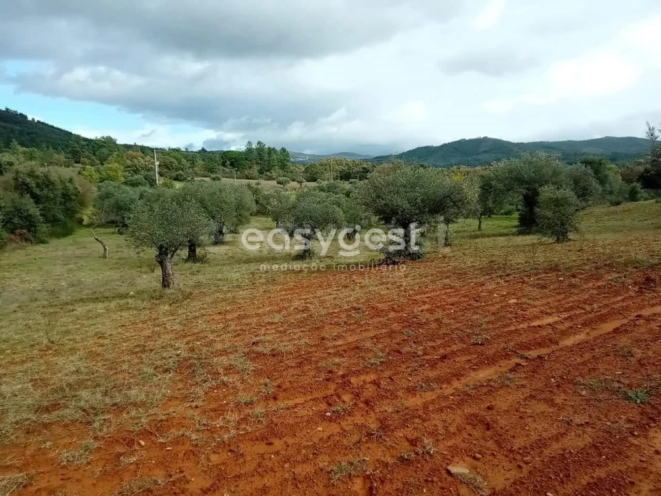 Terreno Agricola ou Rústico para Venda em Vale da Senhora da Povoa Foto 7