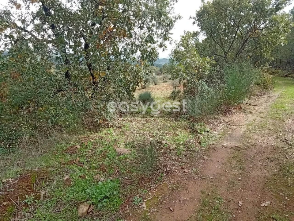Terreno Agricola ou Rústico para Venda em Vale da Senhora da Povoa Foto 17