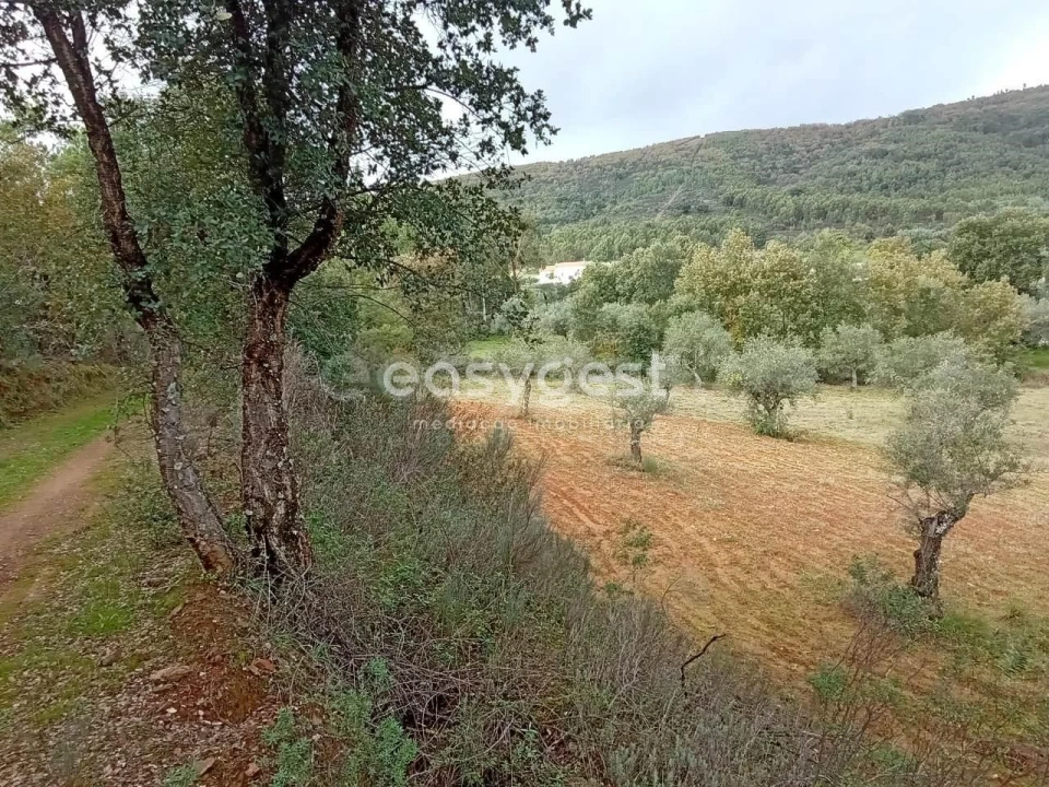 Terreno Agricola ou Rústico para Venda em Vale da Senhora da Povoa Foto 19