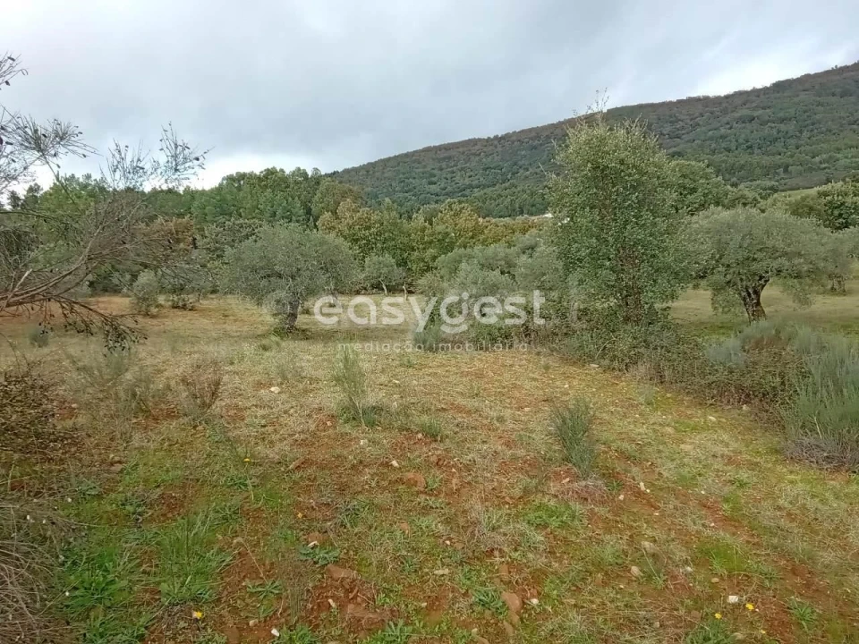 Terreno Agricola ou Rústico para Venda em Vale da Senhora da Povoa Foto 23