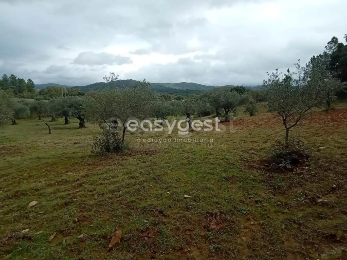 Terreno Agricola ou Rústico para Venda em Vale da Senhora da Povoa