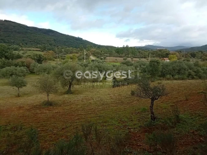 Terreno Agricola ou Rústico para Venda em Vale da Senhora da Povoa Foto 2
