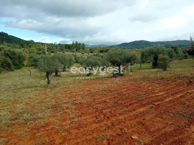Terreno Agricola ou Rústico para Venda em Vale da Senhora da Povoa Foto 7
