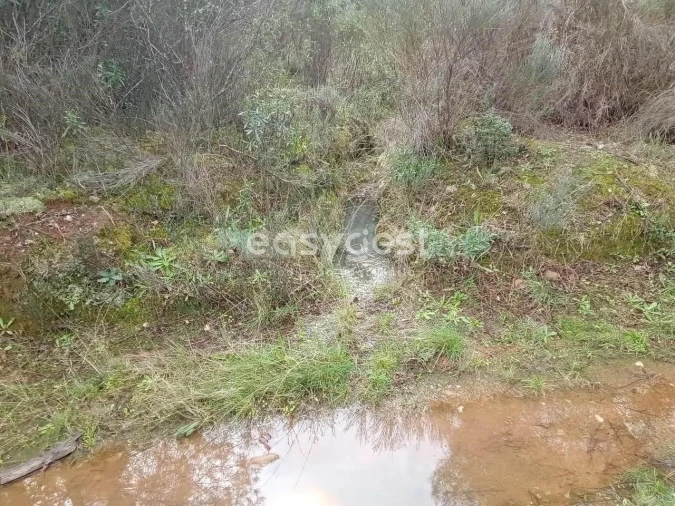 Terreno Agricola ou Rústico para Venda em Vale da Senhora da Povoa Foto 11