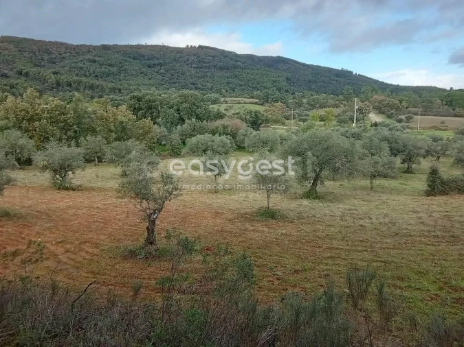 Terreno Agricola ou Rústico para Venda em Vale da Senhora da Povoa Foto 15