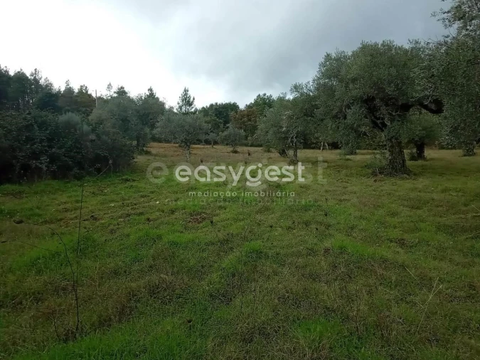 Terreno Agricola ou Rústico para Venda em Vale da Senhora da Povoa Foto 16