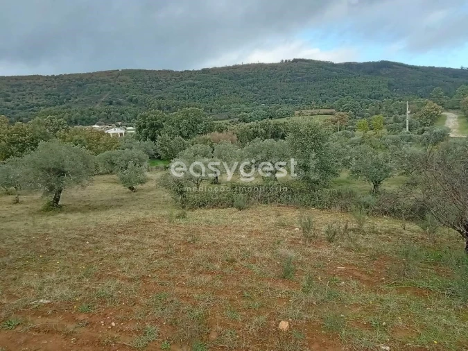 Terreno Agricola ou Rústico para Venda em Vale da Senhora da Povoa Foto 21