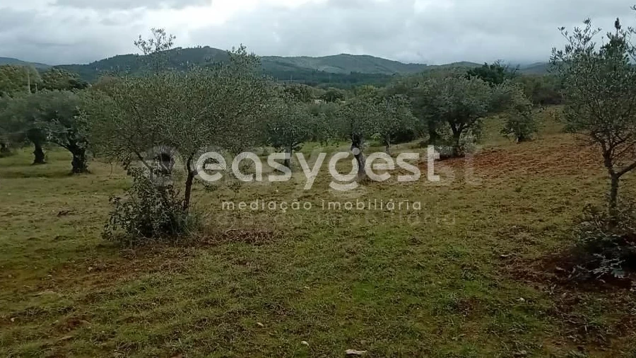 Terreno Agricola ou Rústico para Venda em Vale da Senhora da Povoa