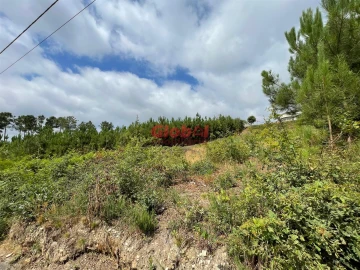 Terreno para Venda em Campo