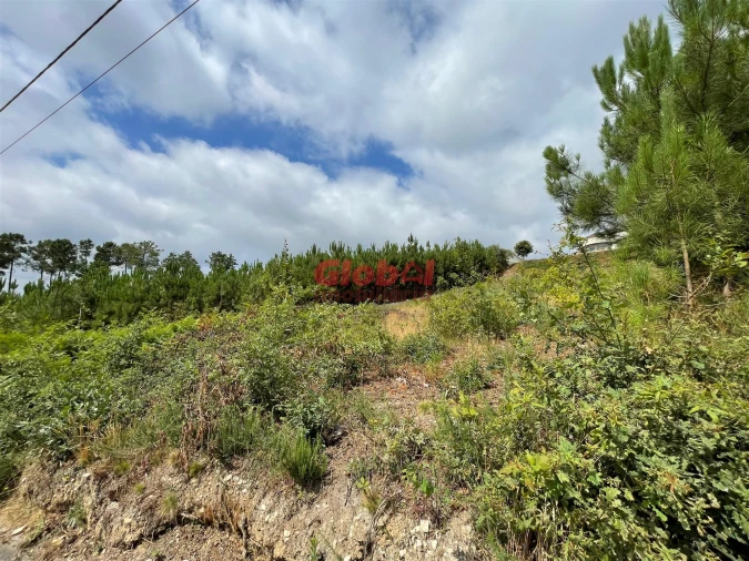 Terreno para Venda em Campo Foto 2