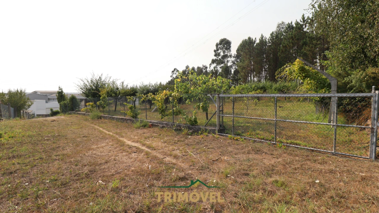 Negócio para Venda em São Roque Foto 11