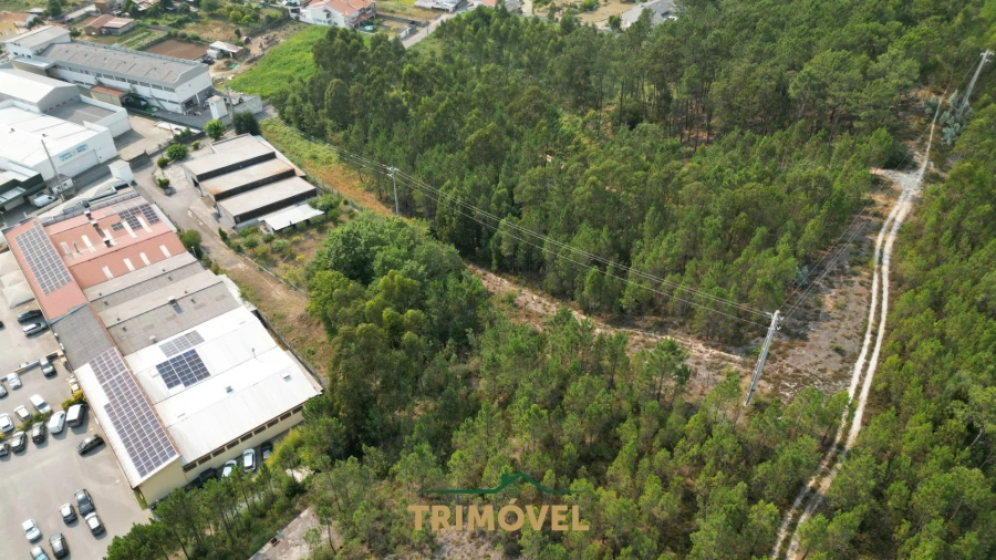 Negócio para Venda em São Roque Foto 4