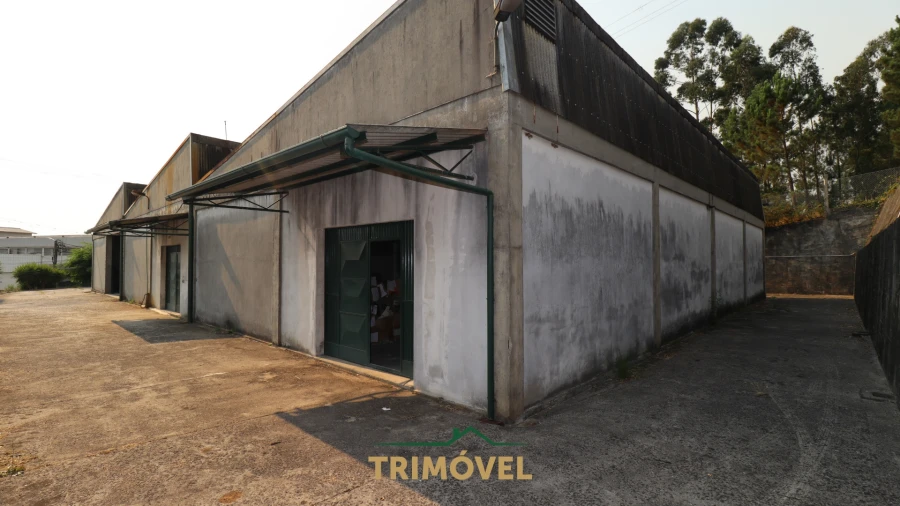 Negócio para Venda em São Roque Foto 8