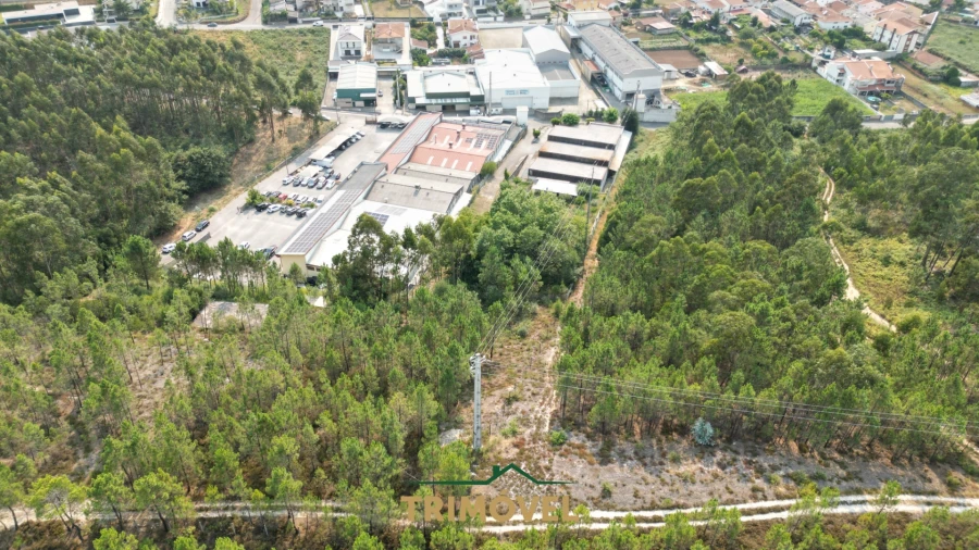 Negócio para Venda em São Roque Foto 3
