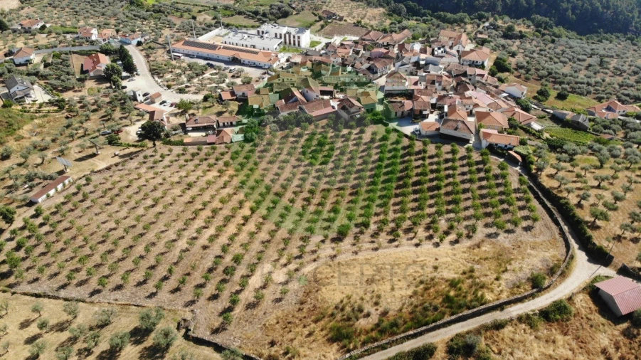 Terreno para Venda em Valpaços e Sanfins Foto 4