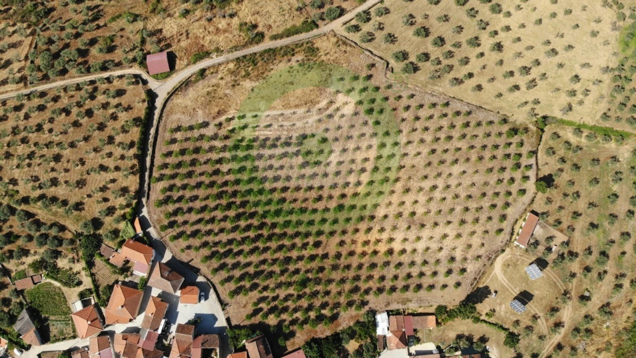 Terreno para Venda em Valpaços e Sanfins Foto 3