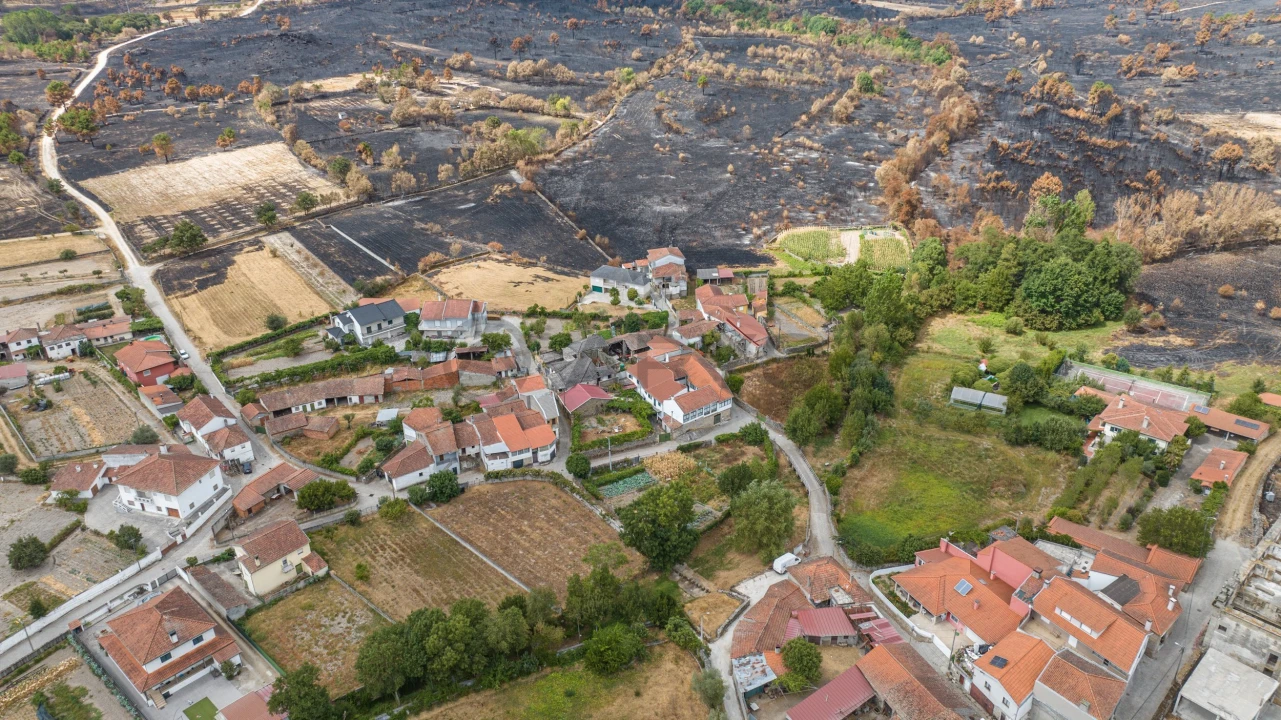 Quinta T1 para Venda em Outeiro Seco Foto 10