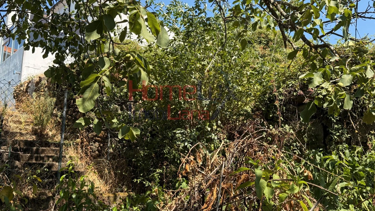 Moradia T2 para Venda em Cavernães Foto 19