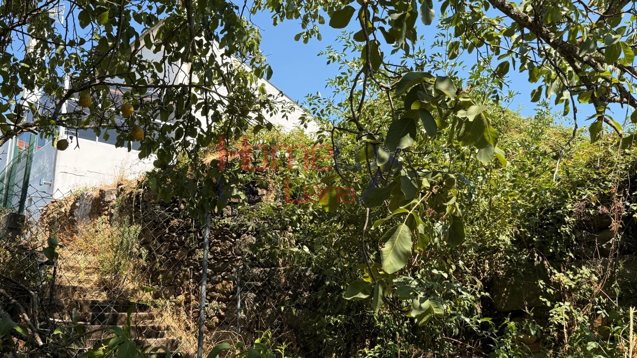 Moradia T2 para Venda em Cavernães Foto 21