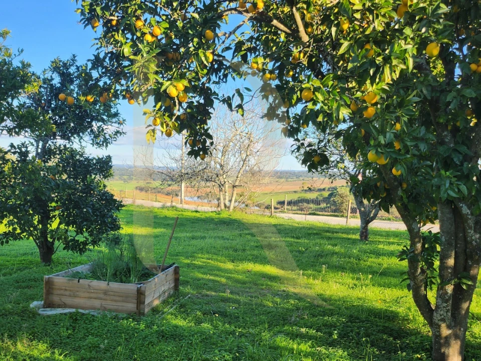 Moradia T2 para Venda em Vendas Novas Foto 24