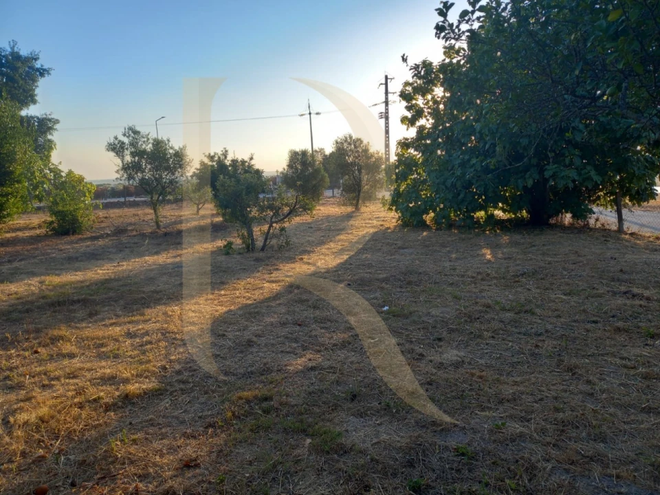 Moradia T2 para Venda em Vendas Novas Foto 25