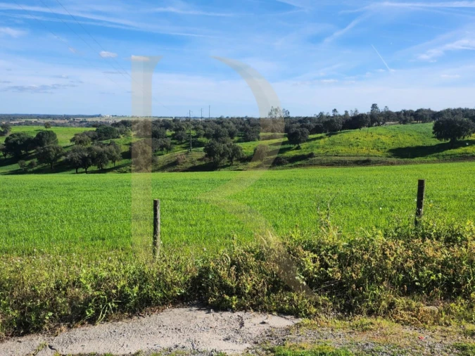 Moradia T2 para Venda em Vendas Novas Foto 28