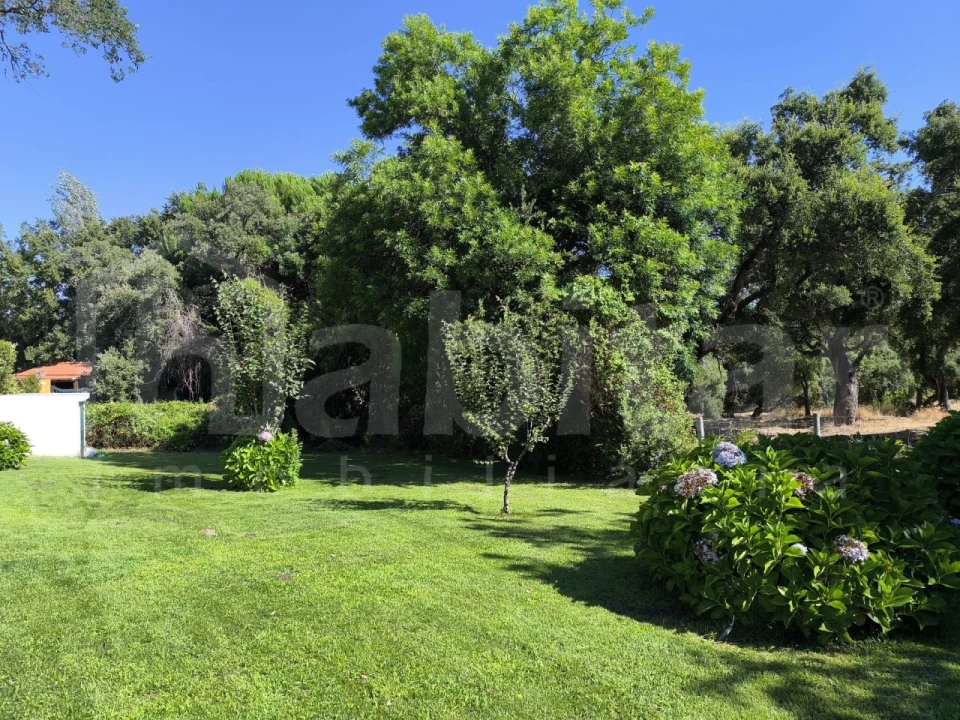 Moradia T4 para Arrendamento em Santo Estêvão Foto 8