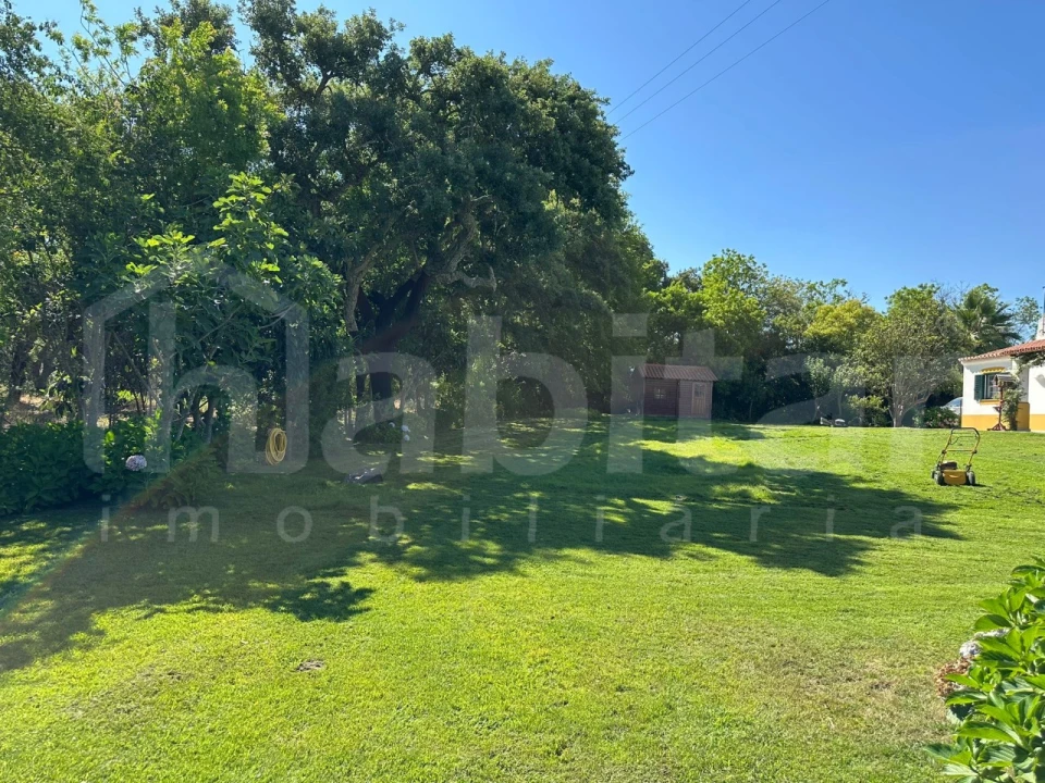 Moradia T4 para Arrendamento em Santo Estêvão Foto 6