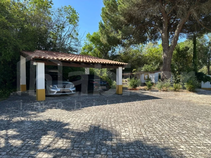 Moradia T4 para Arrendamento em Santo Estêvão Foto 4