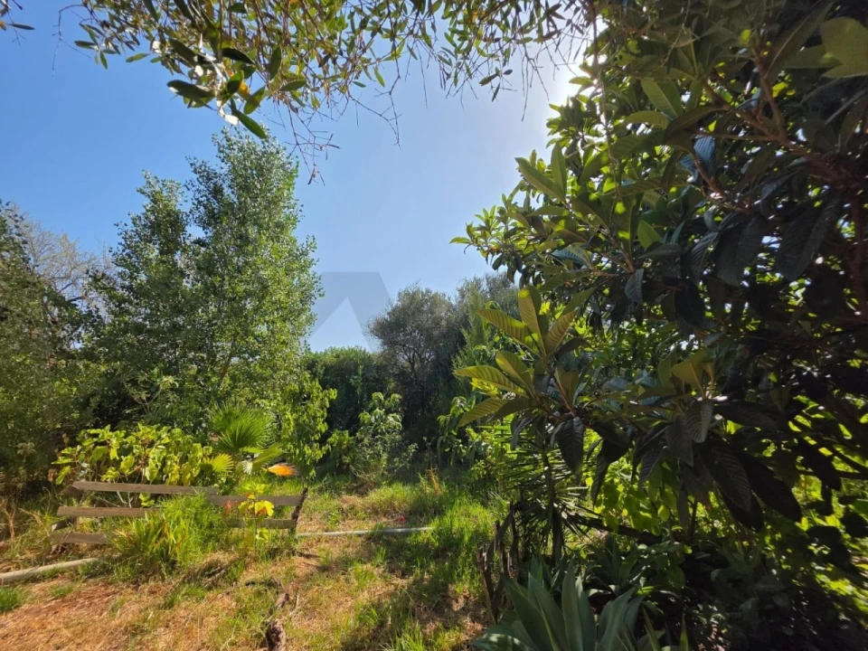 Terreno para Venda em Bensafrim e Barão de São João Foto 24