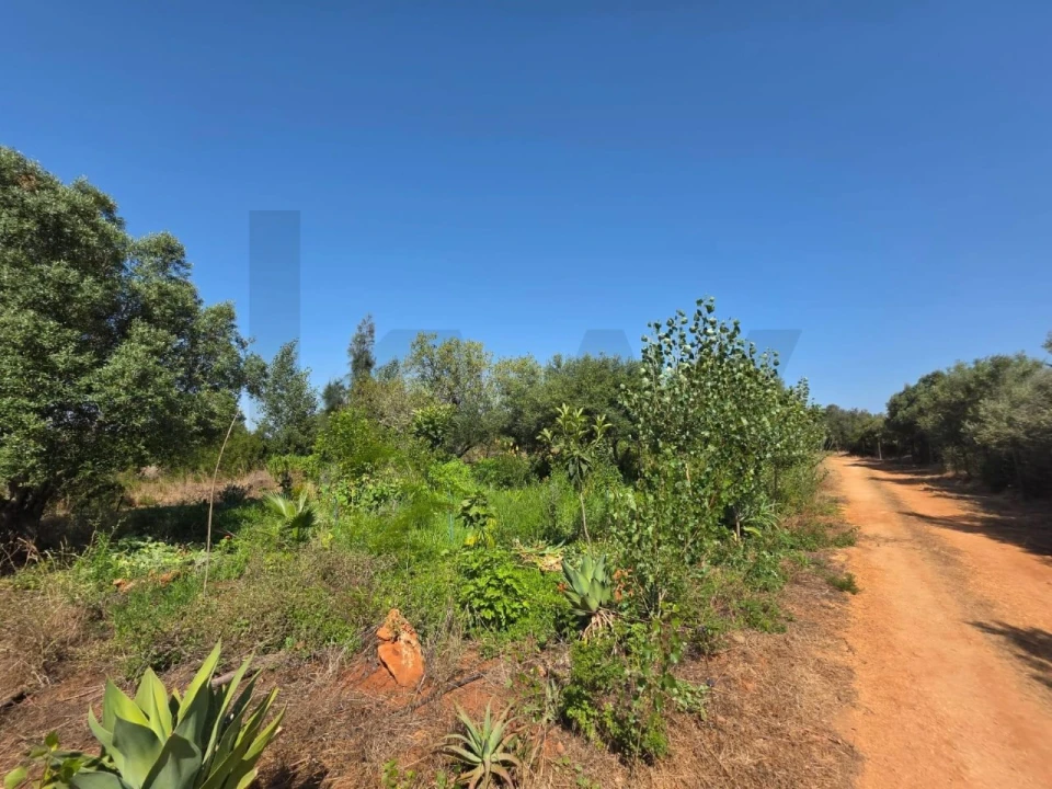 Terreno para Venda em Bensafrim e Barão de São João Foto 36