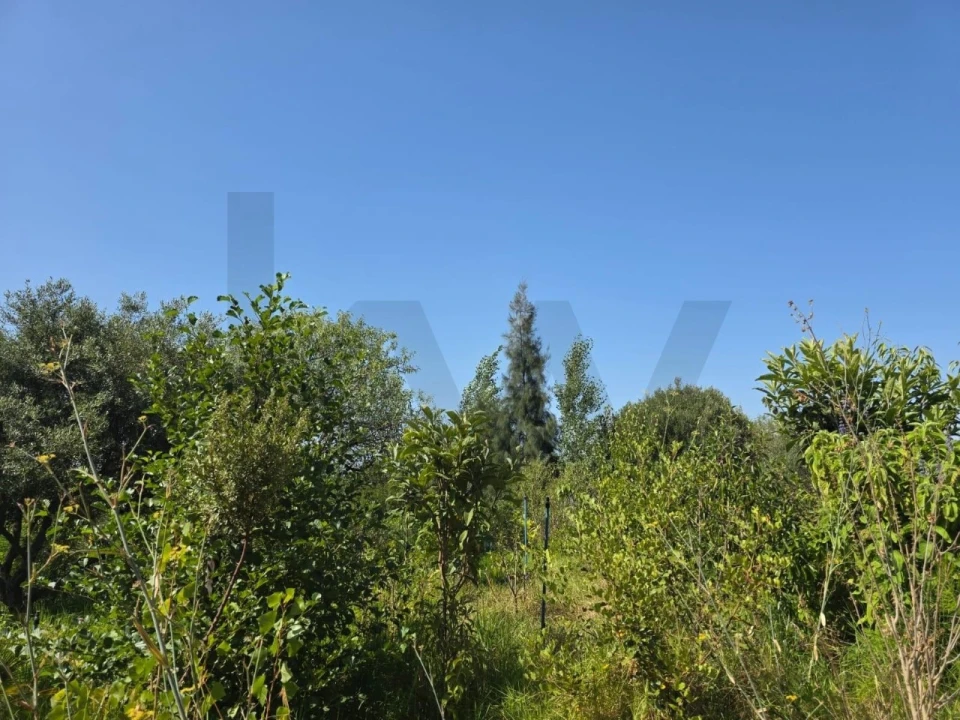 Terreno para Venda em Bensafrim e Barão de São João Foto 38