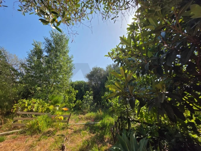 Terreno para Venda em Bensafrim e Barão de São João Foto 24